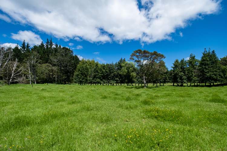 605 Takahue Road Takahue_28