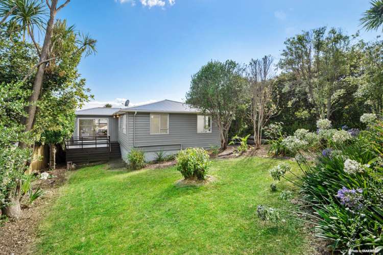 1/67 Drake Street Howick_1