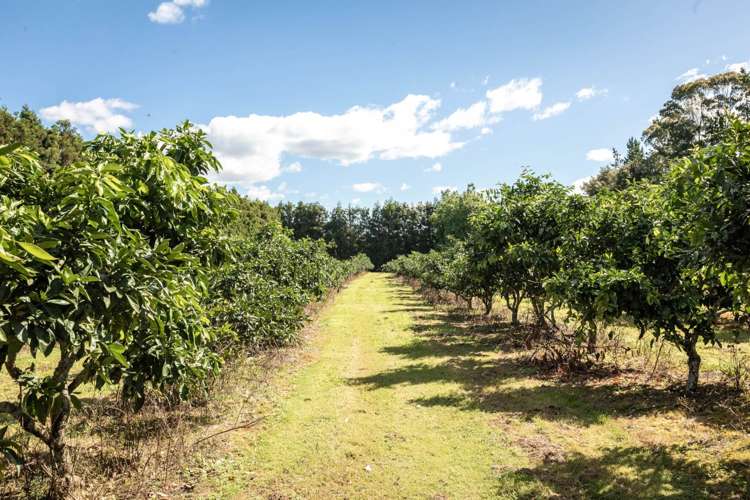 6 Sedgemoor Lane, RD 2 Katikati_30