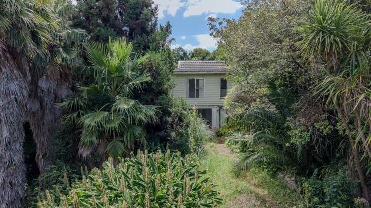 1B Peter Terrace Castor Bay_8