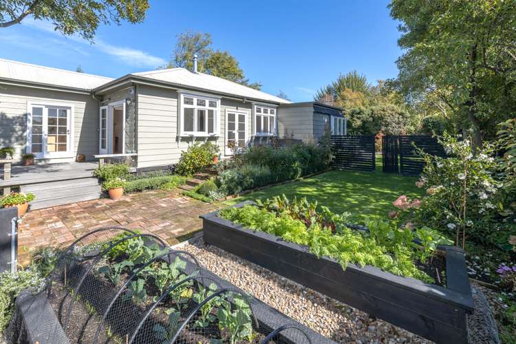 11 Aynsley Terrace Hillsborough_17