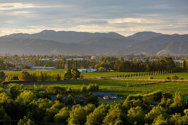 166 Dry Hills Lane Riverlands_8