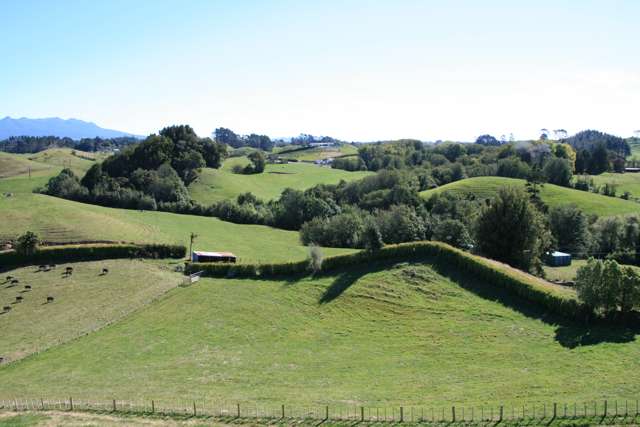 196 Tarata Road Inglewood_1