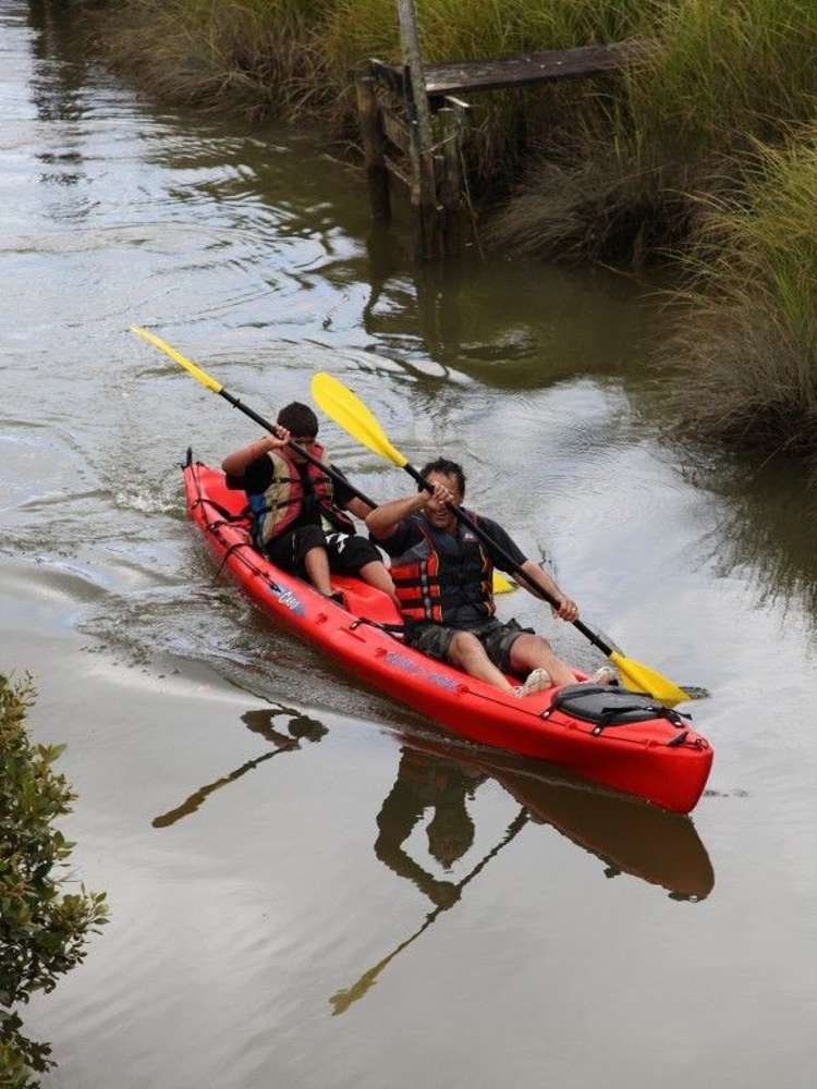 1019 Clevedon Kawakawa Road Clevedon_4
