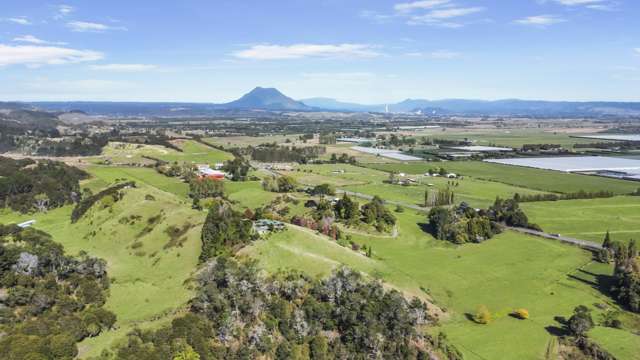 1483 State Highway 30 Awakeri_1
