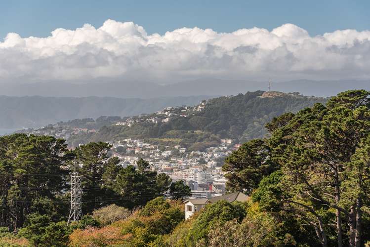 48 Mount Pleasant Road Aro Valley_13