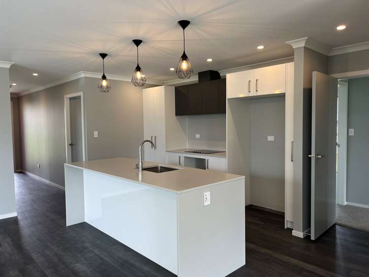 10 Sanson Place Levin_6