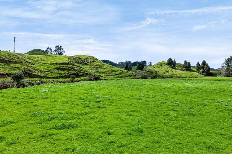 1151 Makuri Road Huiroa_9