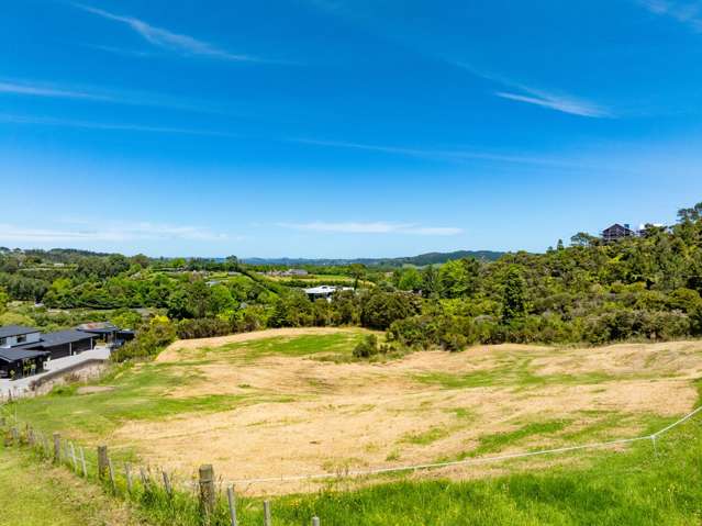 Rare 2 ha Blank Canvas