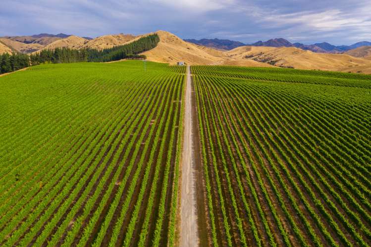 220 Ballochdale Road Awatere Valley_8