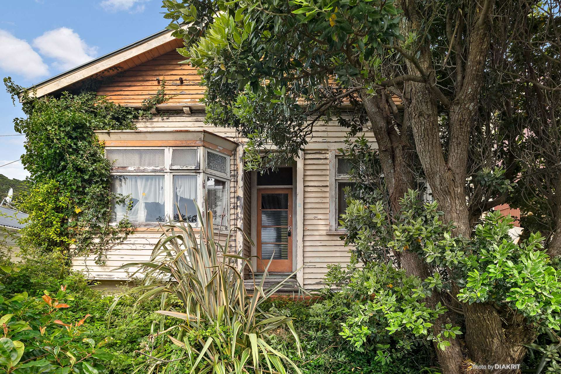 126 Wallace Street Mount Cook_0