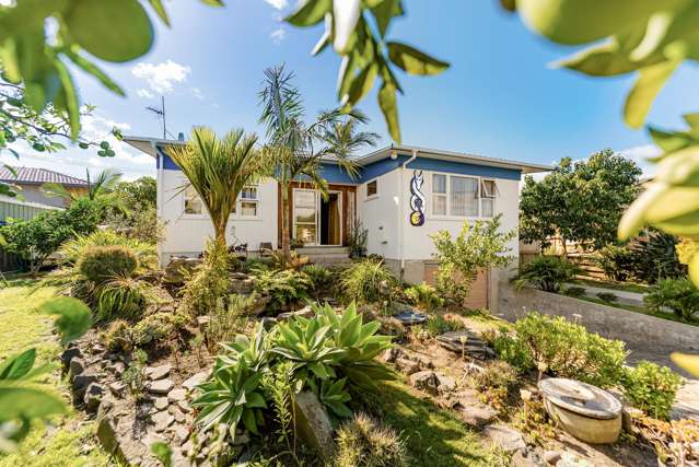 367 Maunganui Road Mt Maunganui_1