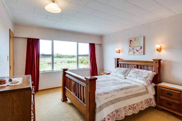189 Guppy Road Taradale_0