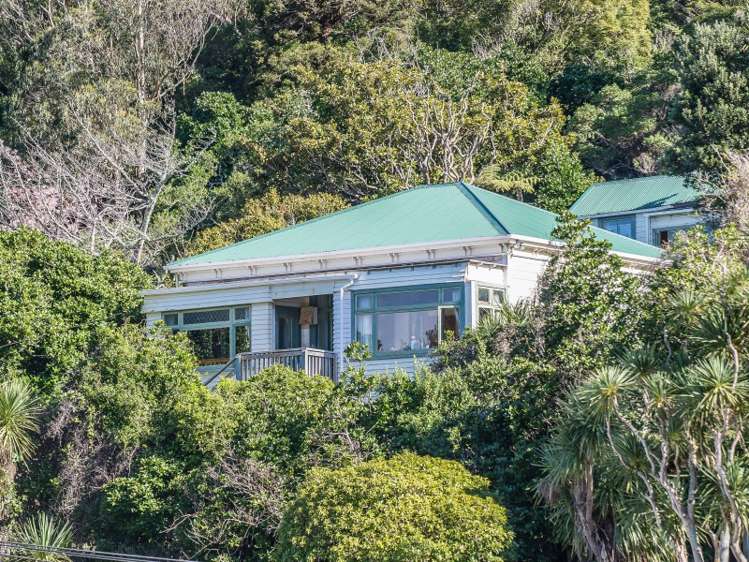 199 Aro Street Aro Valley_0