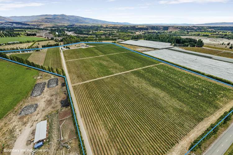 89 McPherson Road, Earnscleugh Alexandra_15