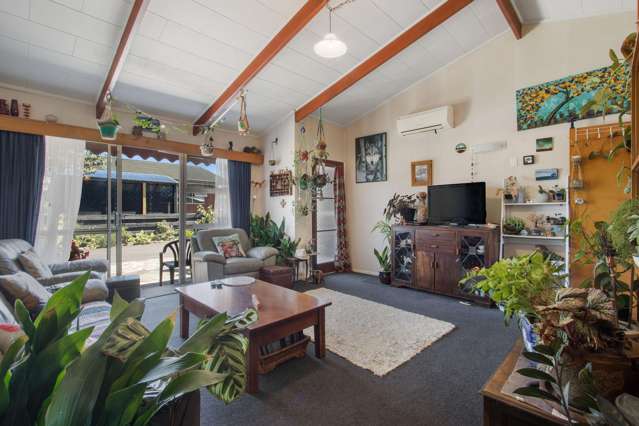 17A Tui Place Katikati_3