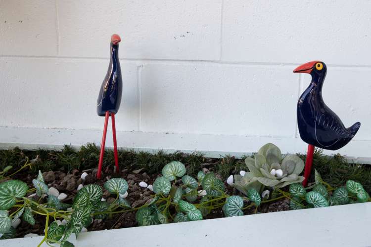 12 Taitua Drive Te Atatu South_16