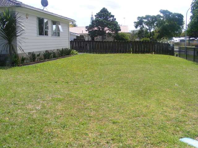 3 Tasman Street Pukekohe_3