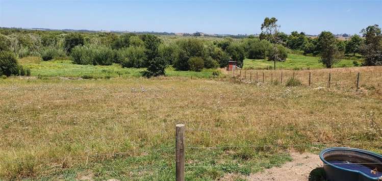 218 Island Block Road Te Kauwhata_16