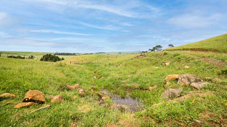 1131 Waikaretu Valley Road Waikaretu_6