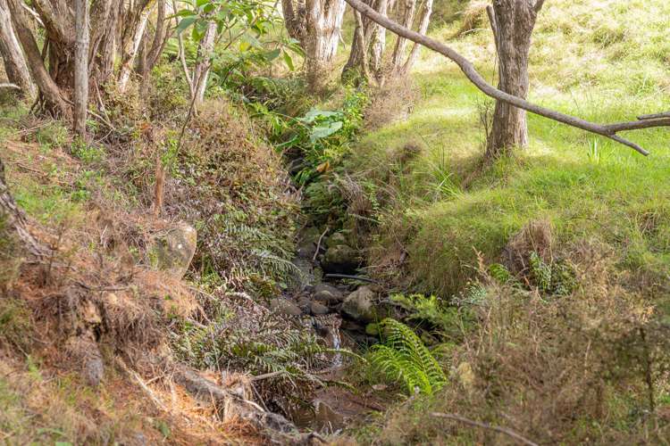 425n Boat Harbour Road Whenuakite_36