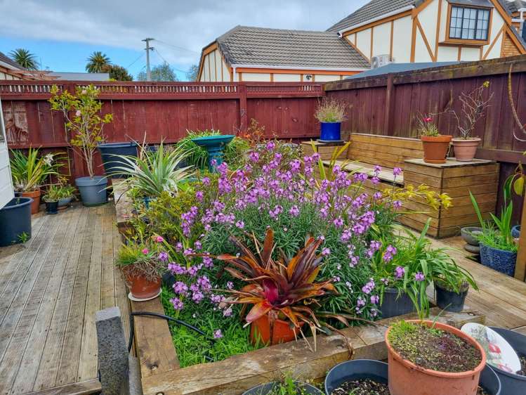 112B Fenton Street Thames_13
