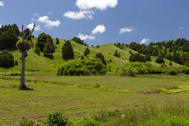 791 Fairburn Road Kaitaia Surrounds_9
