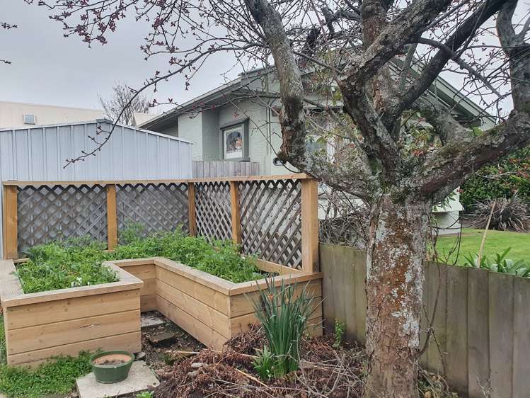 1 Antrim Street Sydenham_10