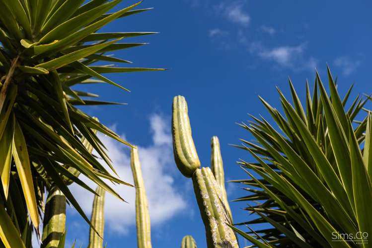 38 Tongariro Street Castlecliff_27