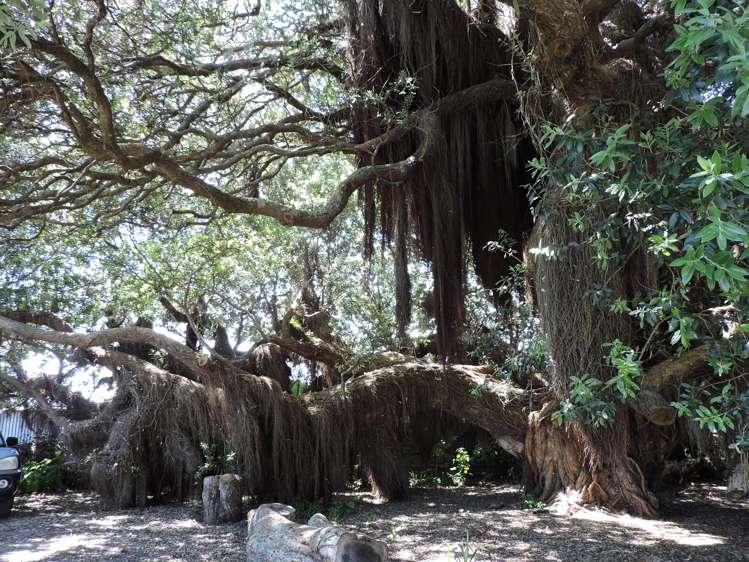 T19/473 Thames Coast Road, Te Puru Holiday Park Te Puru_12