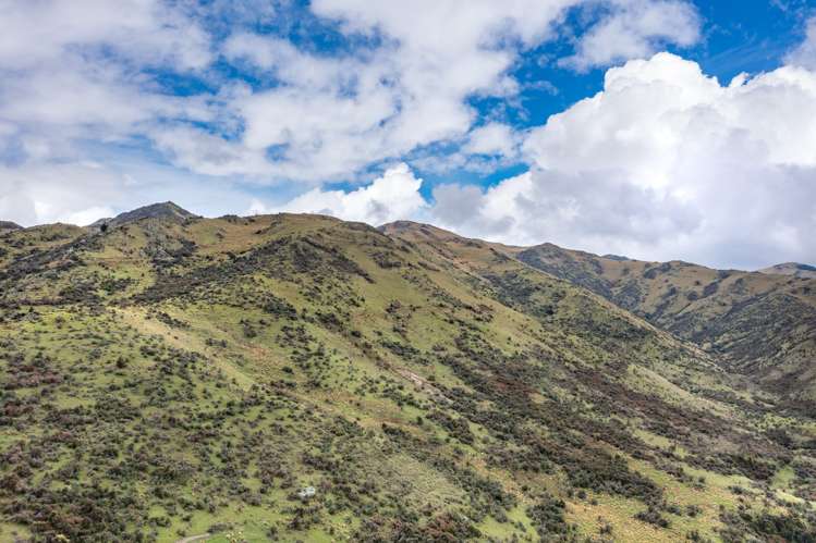 1731 Ram Paddock Road Ashley Forest_11