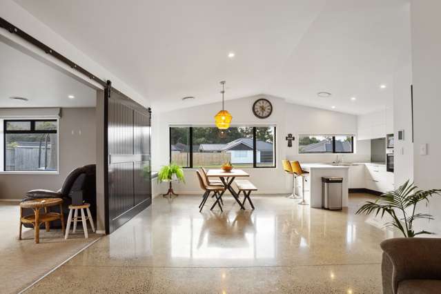 45 Ritchie Street Te Aroha_1