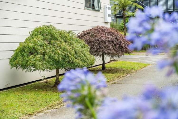 1/10 Sunset Street Hilltop_14