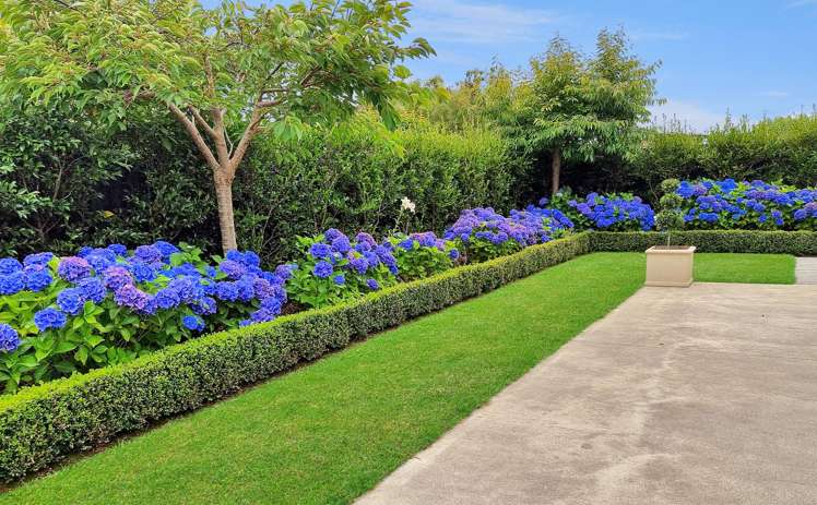 3 Roger Renall Avenue Masterton_22