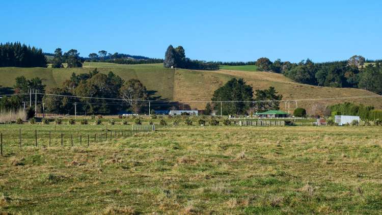 1972 State Highway 63 Wairau Valley_4