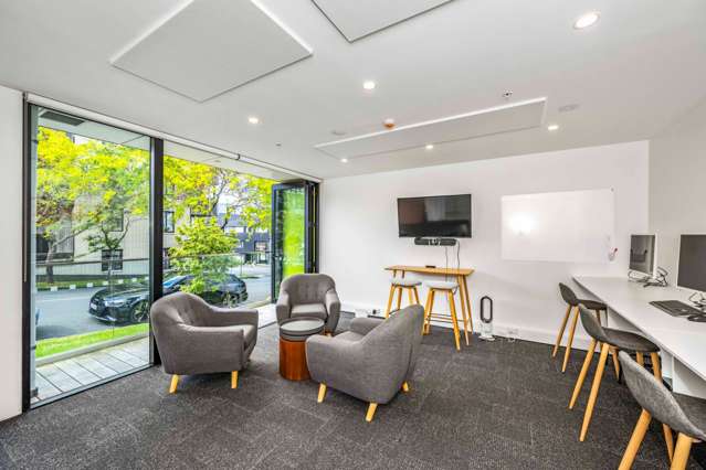 17C Crummer Road Grey Lynn_4