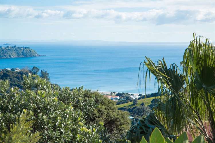 102 Trig Hill Road Onetangi_12