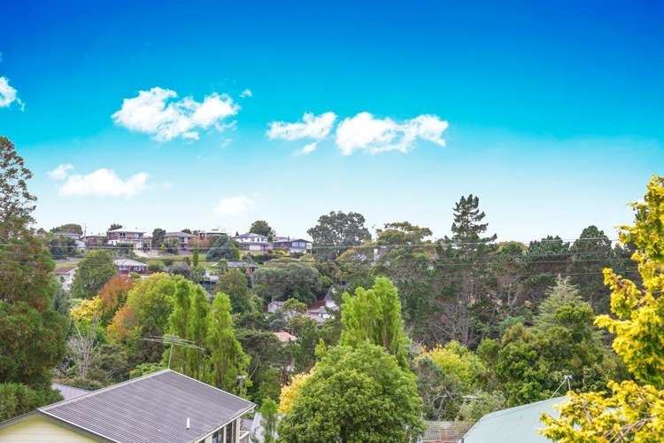 12 Mcclintock Road Massey_2