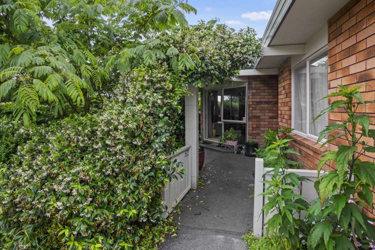 1 Twickenham Close Katikati_5