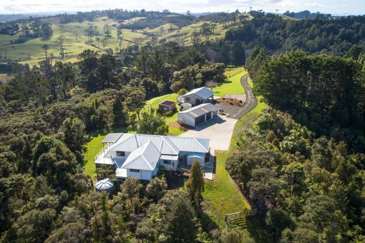 291 Horseshoe Bush Road Dairy Flat_1