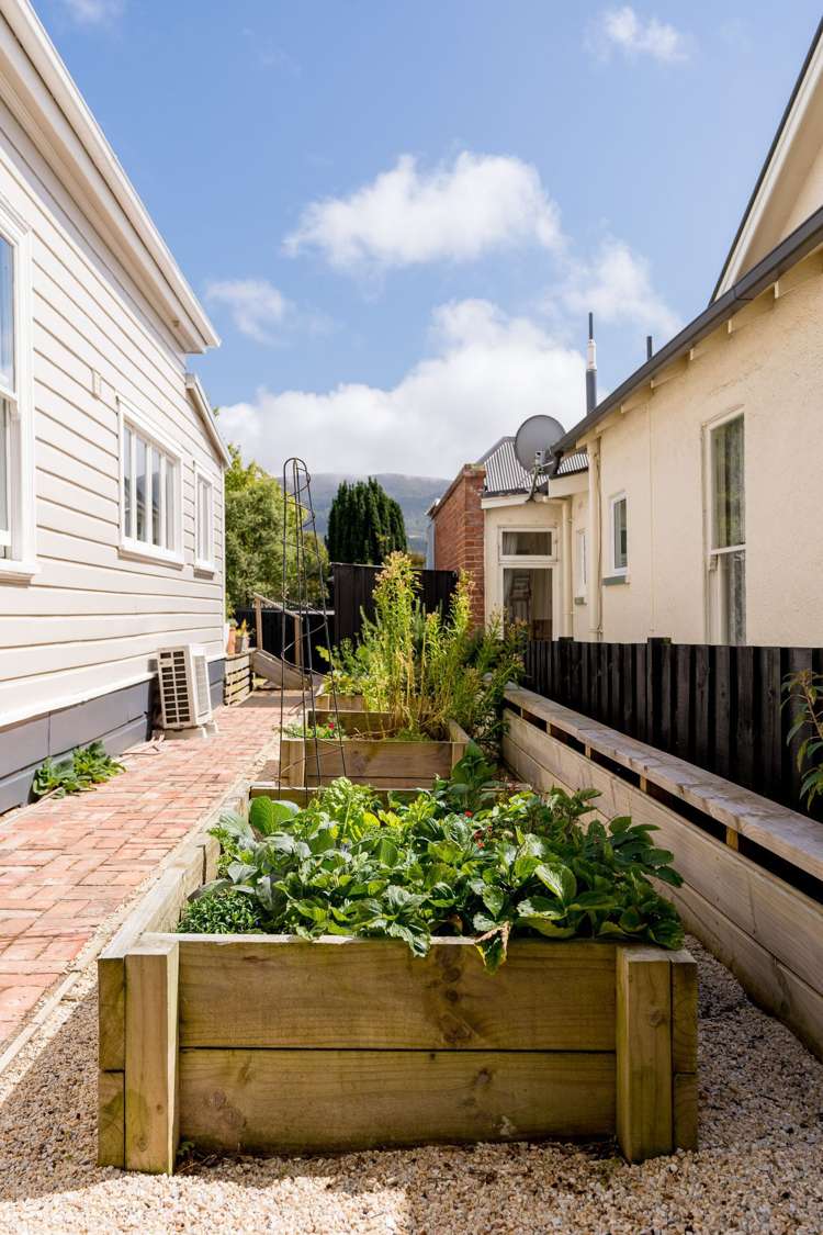 615 Highgate Maori Hill_31