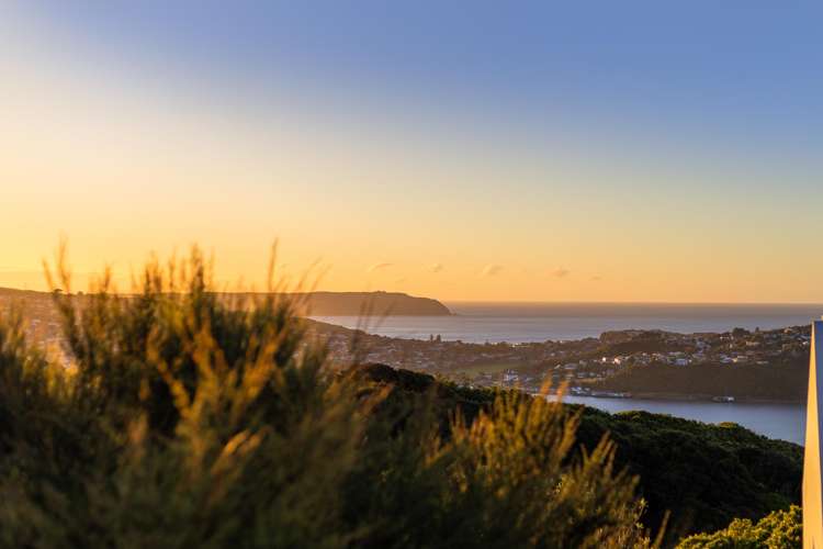 18 Kahurangi Heights_2