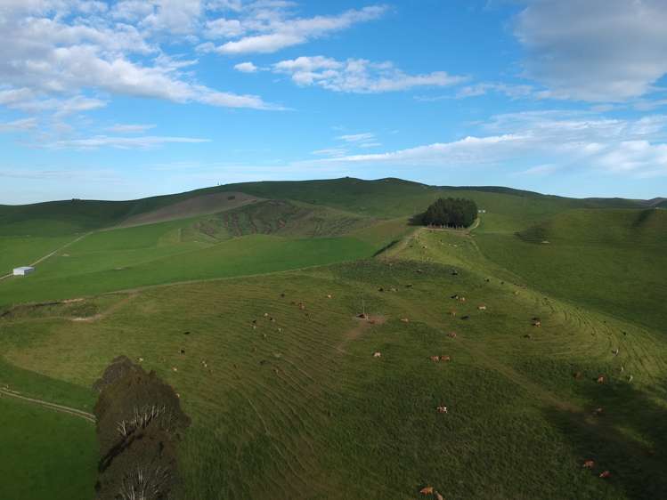 112 Waikakahi Valley Road Ikawai_20