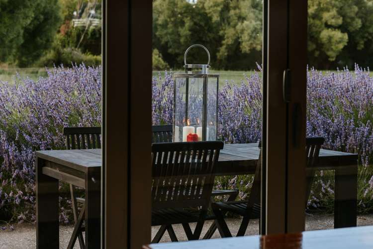 2127F Cardrona Valley Road Cardrona_22