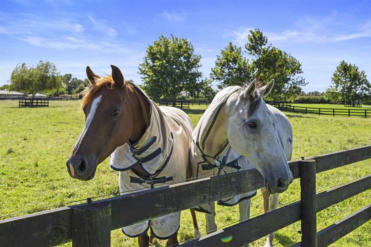 330g Pencarrow Road Tamahere_43