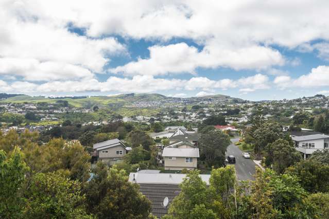41 Cambrian Street Churton Park_2