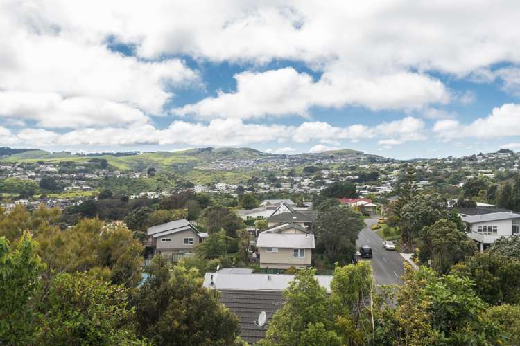 41 Cambrian Street Churton Park_2