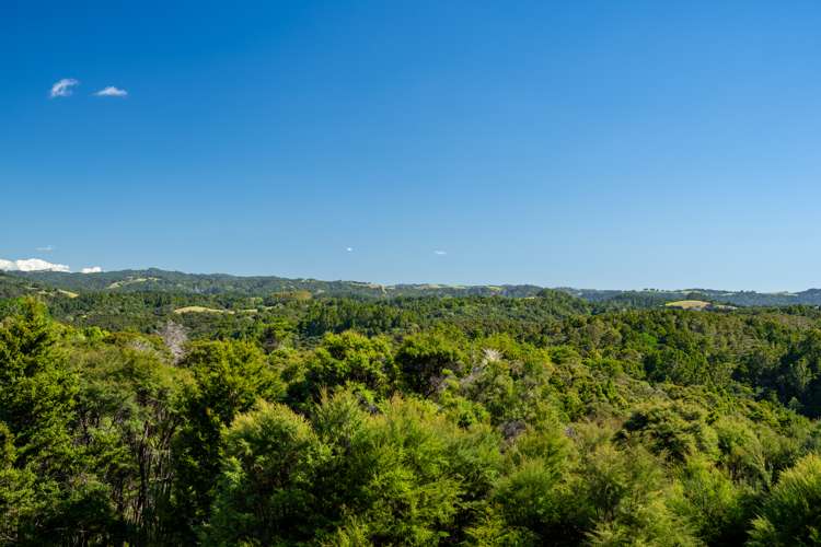 Mangahui Road Whareora_21