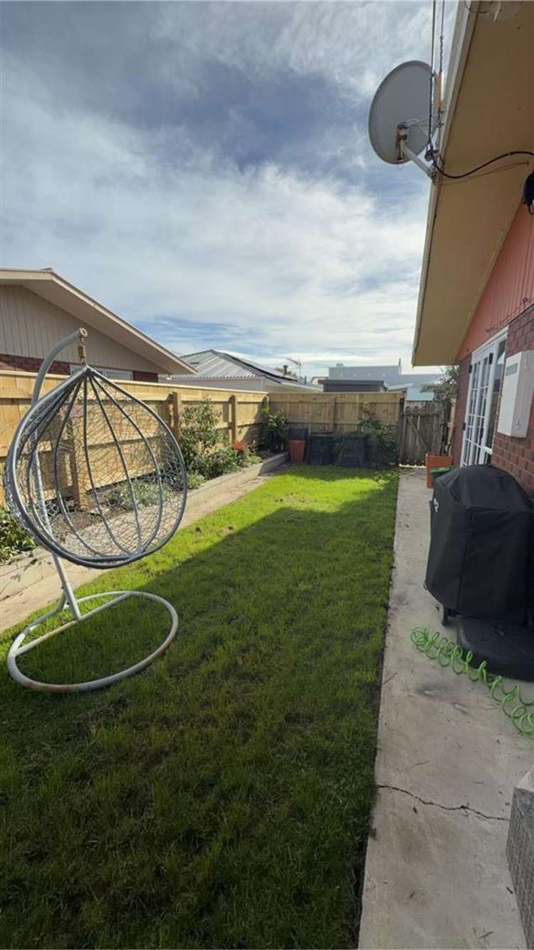 19b Norman Street Vogeltown_12
