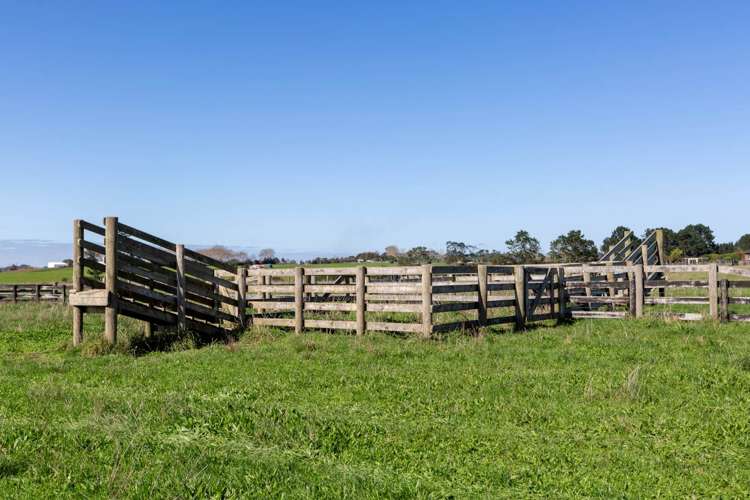 94 Sanctuary Drive Glenbrook_7